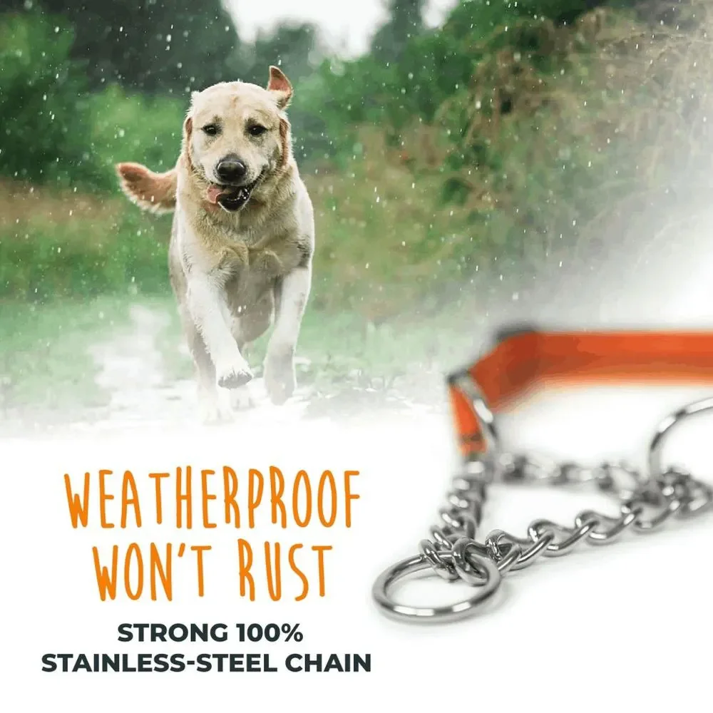 NWT Mighty Paw Orange Martingale Dog Collar 2.0